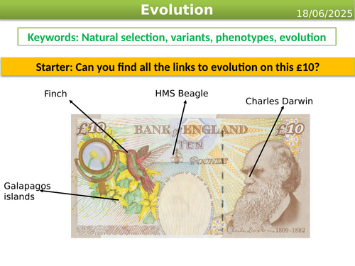 GCSE biology - Evolution