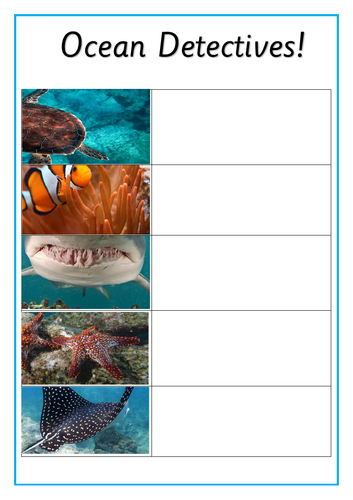 Ocean Detectives Writing