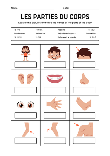 Les Parties du Corps – French Body Parts Vocabulary Worksheet
