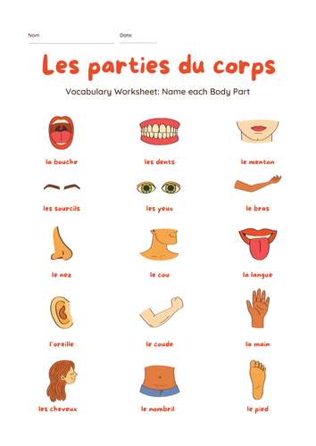 Les Parties du Corps – Labelled French Body Parts Poster/Display