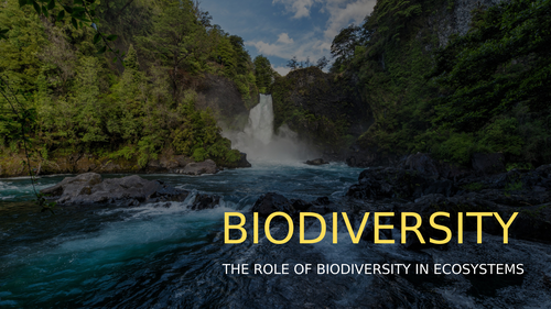 Importance of Biodiversity