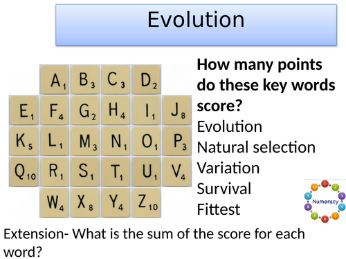 KS3 Natural selection/evolution