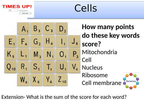 KS3 plant and animal cells