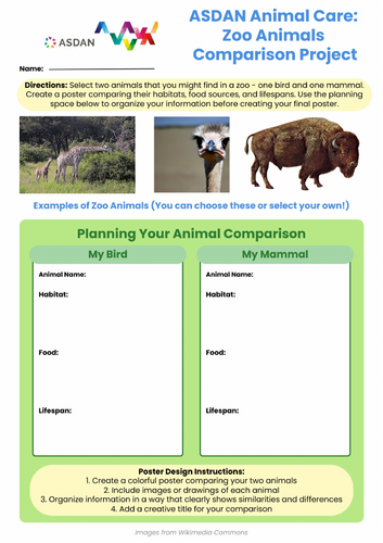 ASDAN Animal Care - Animal Investigation - A6 - Zoo Animals