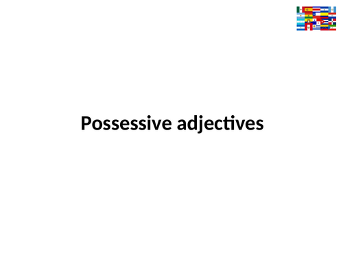 Spanish Possessive Adjectives: mi(s) and tu(s)