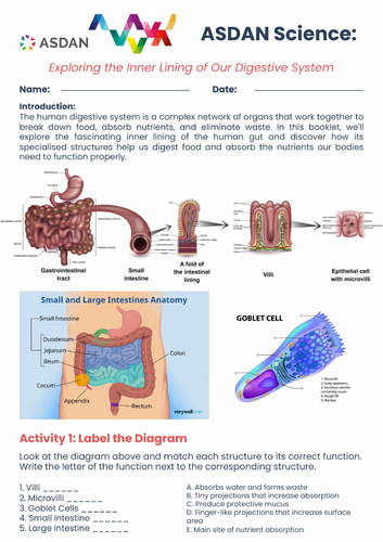 ASDAN Science - Human Machine Journey through the Human Gut - A6