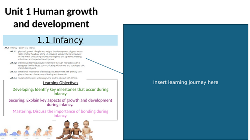 AAQ Health and Social Care Infancy lesson