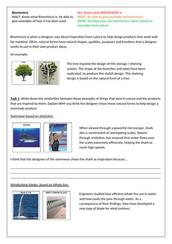 KS3 DT - Biomimicry