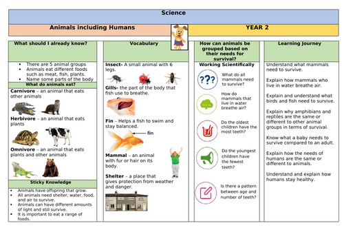 Animals Including Humans- Science Knowledge Organiser and Planning