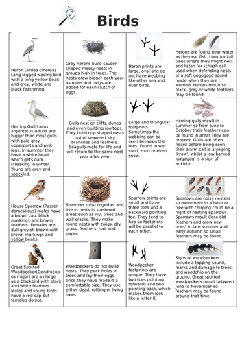 Animal Homes  and Signs Detective Sheet