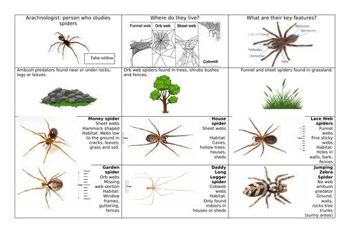 Mini-beast information sheets and spotters