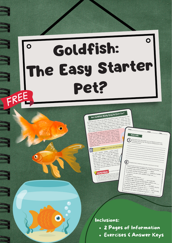 Goldfish Care: Pet Needs and Common Mistakes