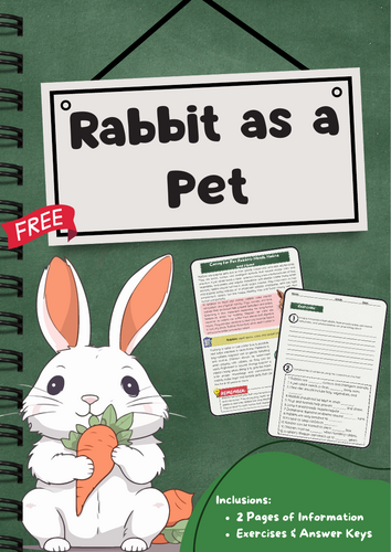 Rabbit as a Pet – Care, Needs & Housing