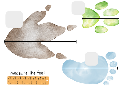 Measure the feet