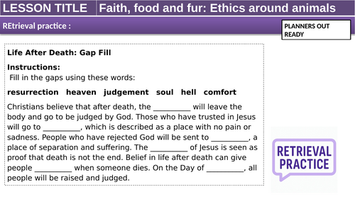 Animal Rights KS3/4