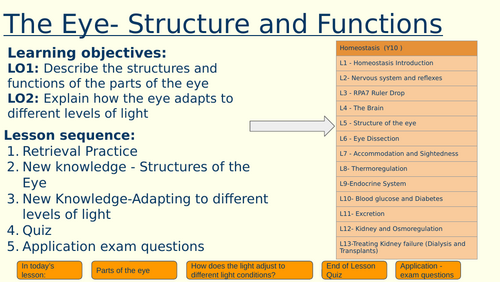 The Structure and function of the eye