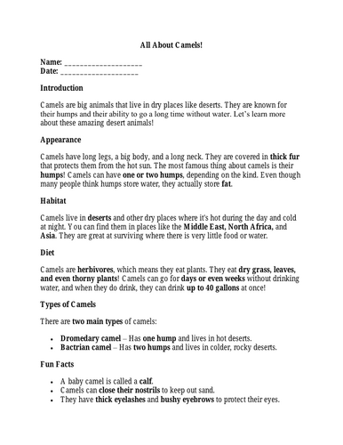 KS2 Non-Fiction Reading Comprehension Pack