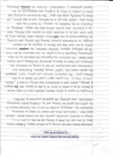 Fantasy in  'A Streetcar Named Desire'