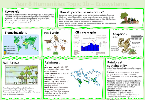 Geography - Ecosystems - knowledge organiser - editable