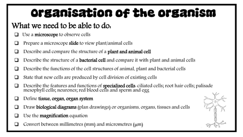 2 Organisation of the organism revision notes