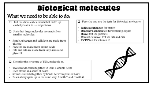 4 Biological Molecules revision notes