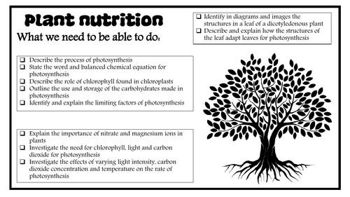 6 Plant Nutrition revision notes