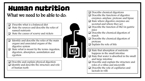 7 Human Nutrition revision notes