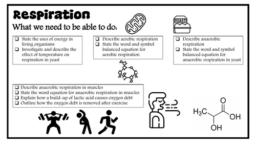 12 Respiration revision notes