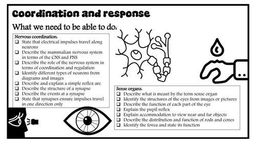 14 Coordination and response revision notes