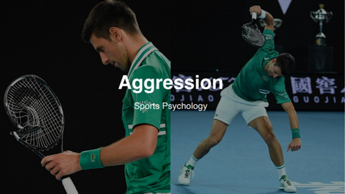 A-Level PE: Aggression