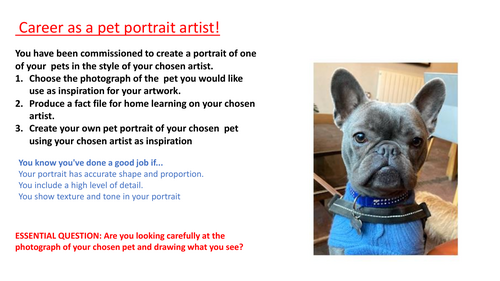 Pet Portrait Project