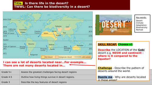 Life in the Gobi desert