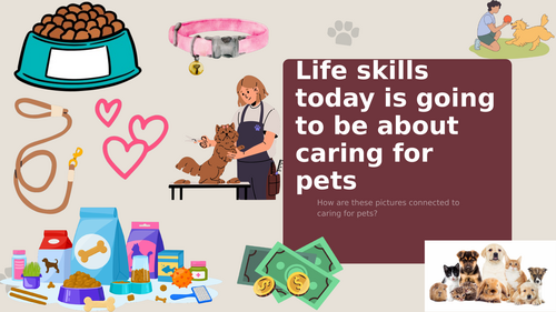 Responsibilities of owning a pet: Life skills lesson