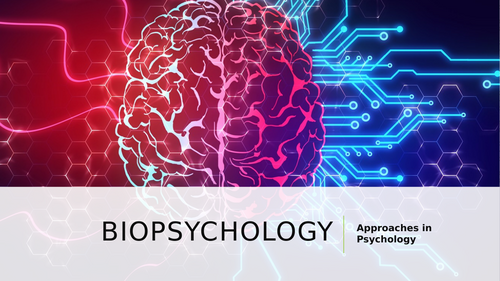 AQA A Level Psychology - Biopsychology (full module)