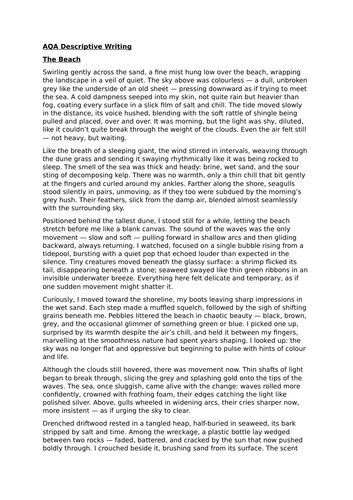 AQA Model Narrative - The Beach