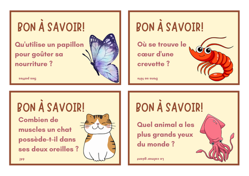 Fun facts display posters