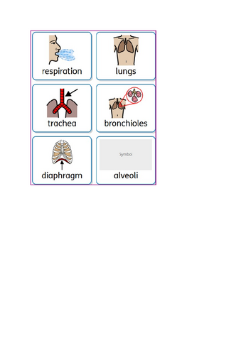 Part of Human Respiratory System