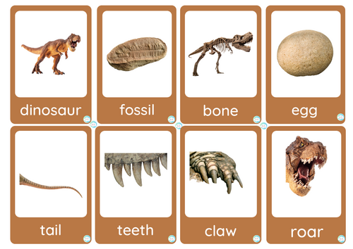 Dinosaurs Flashcards – Categorised Vocabulary Set with Illustrations (II)