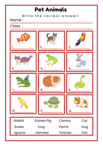 Colorful Illustrative Pet Animals Worksheet