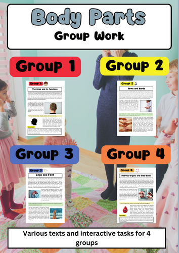 Body Parts Group Work – Head, Limbs, Organs