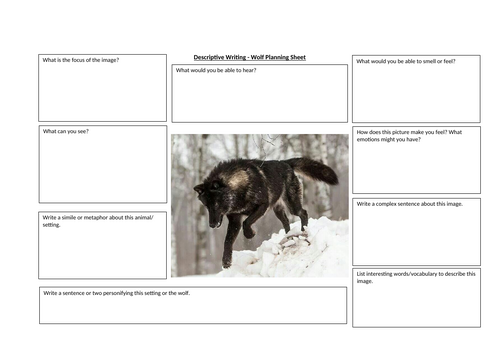 Creative Writing - Descriptive Writing - Wolf Planning Sheet