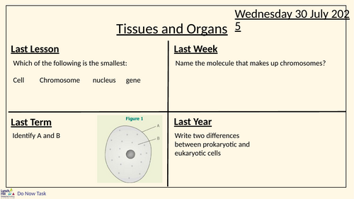 B3.1. Tissues and Organs