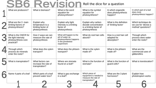 Dice Revision - SB6