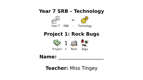 Rock Bug Technology Project