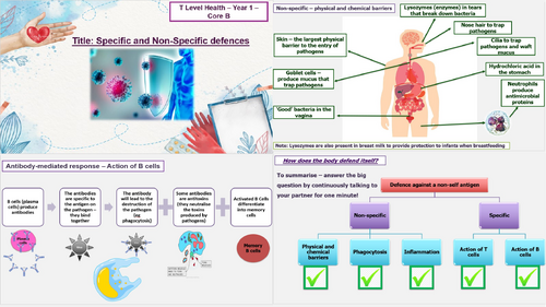 Non-specific and specific defences - T Level Health - Core B science ...