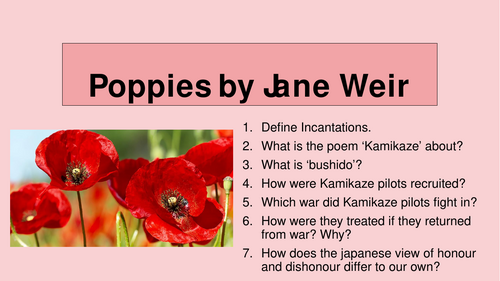 Power and Conflict - Poppies