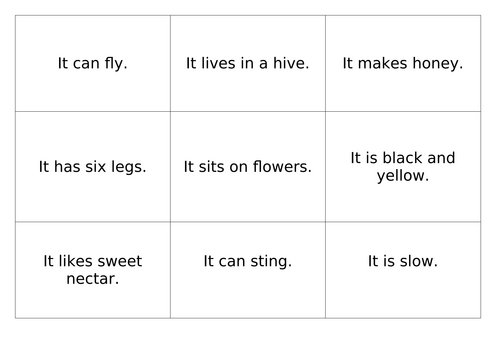 Bee and Slug Facts - sorting