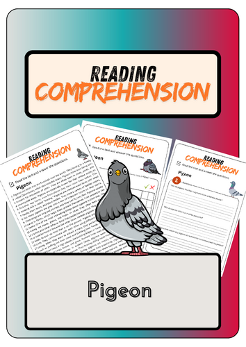 Reading Comprehension - Pigeon + Solutions