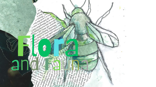 Flora and Fauna Art Project