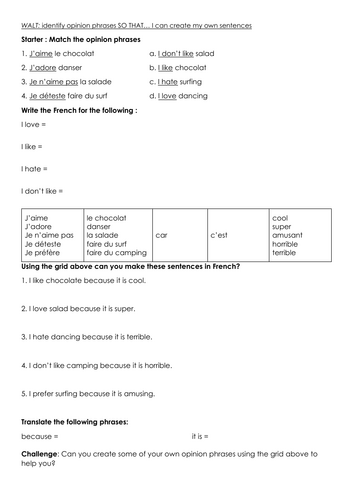 French opinions worksheet